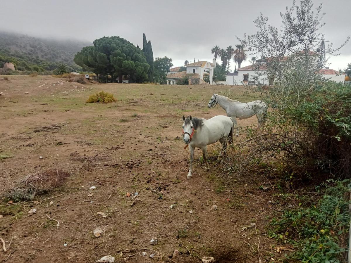 Apartmán Casa Blanquita Mijas Exteriér fotografie